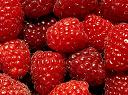 Raspberries